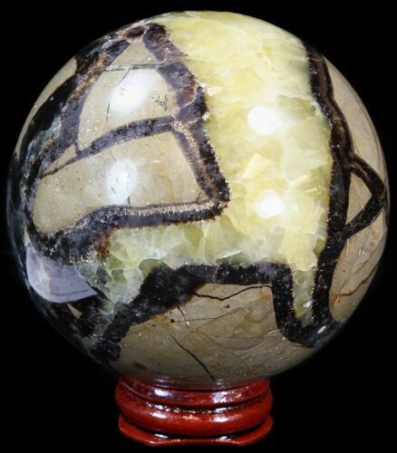 Polished Septarian Sphere - With Stand #43848